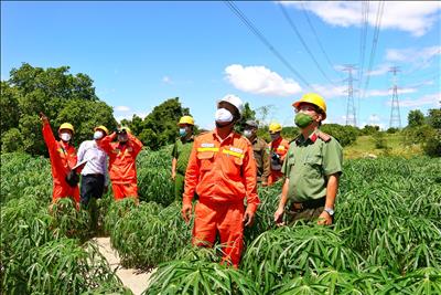 Đảm bảo an ninh, an toàn hệ thống lưới truyền tải điện trên địa bàn tỉnh Bình Thuận dịp Lễ 02/9/2022.